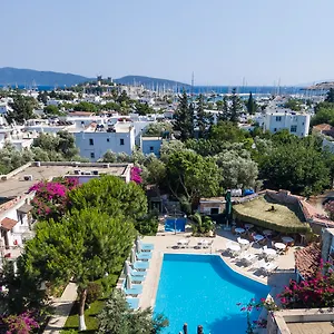 3* Hotell Moonshine &